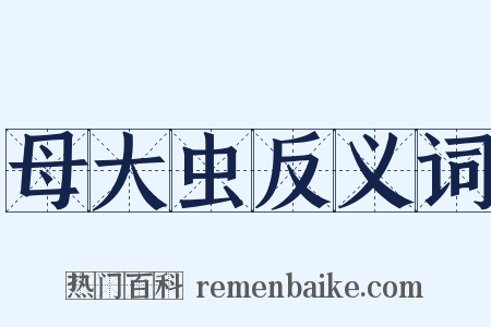 母大虫反义词是什么意思的图片